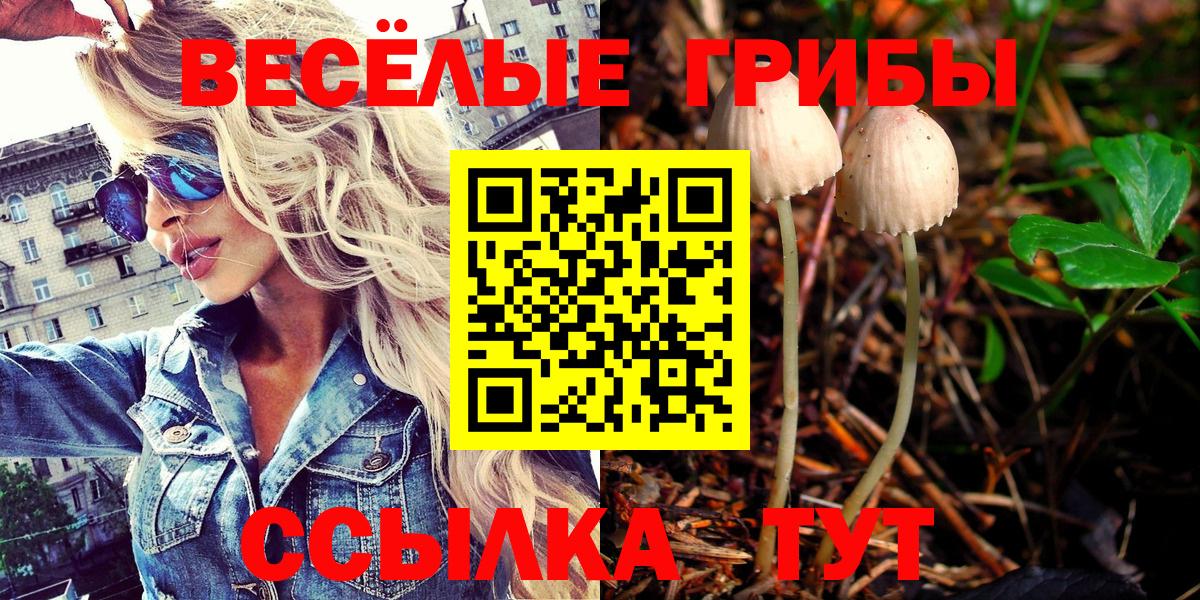 Галлюциногенные грибы Psilocybe Шадринск
