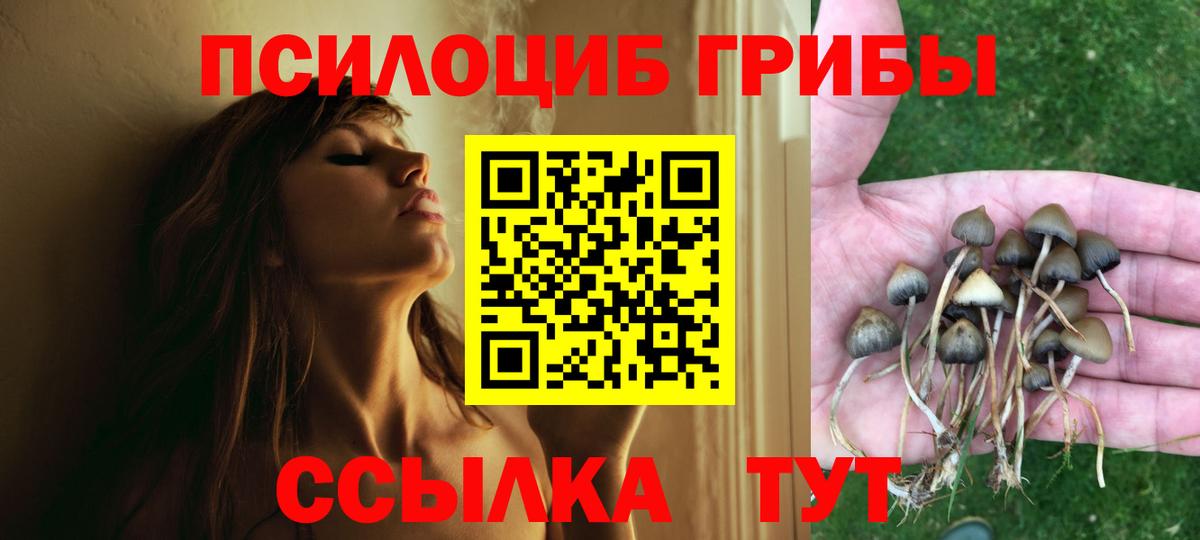 Галлюциногенные грибы ЛСД  Вход с VPN  Шадринск 